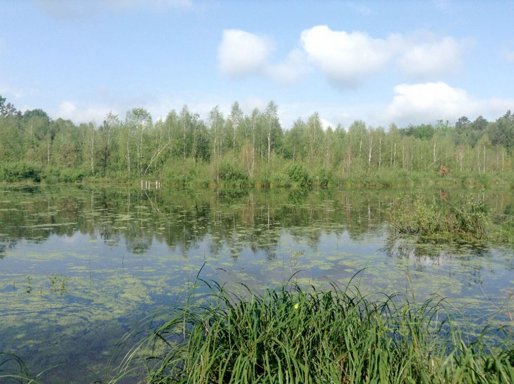Ландшафтний заказник Цезарівський